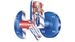 STEAM VALVE