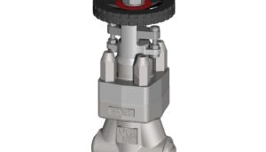NUCLEAR VALVE