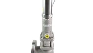 SAFETY VALVE